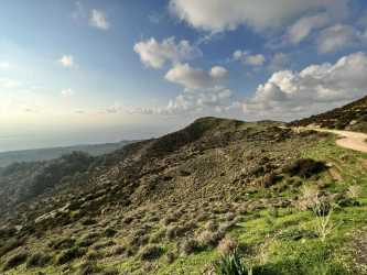 Wycieczka Marathon Jeep Safari - Narodowy Park Akamas z Pissouri